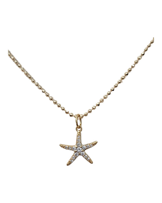 Estrella de Mar